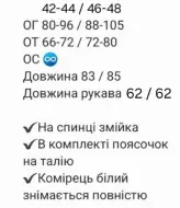 Елегантна сукня зі знімним воротником RAB-693A559