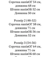 Летний костюм с шортами мужской  IND-7002A550