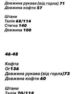 Спортивный костюм двунитка  OFS-01A960