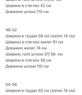 Костюм брюки и жилет RED-166A700