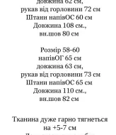 Спортивний костюм IND-2090A650B750