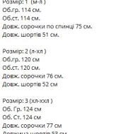 Летний льняной костюм мужской  VM-10541A620