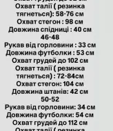 Стильный спортивный костюм женский EVD-242A550