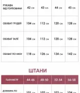 Прогулянковий жіночий костюм з лампасами VOJ-344A900