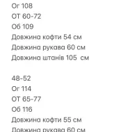 Костюм спортивный велюровый TOR-2625A850