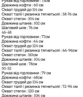 Спортивный велюровый костюм  EVD-415A680