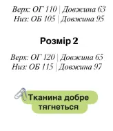 Замшевый спортивный костюм женский  EFR-192A550
