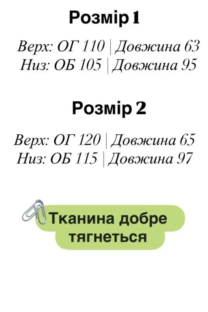 Замшевый спортивный костюм женский  EFR-192A550