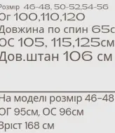 Спортивний костюм MYD-627A550