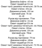 Женский спортивный костюм велюровый  EVD-416A650