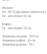 Спортивный костюм велюровый женский  HON-334A1100