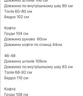 Велюровий костюм NUL-727A730