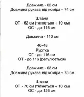 Женский спортивный костюм плащевка  SSY-052A1100