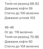 Спортивний костюм з плащівки INNA-593A780