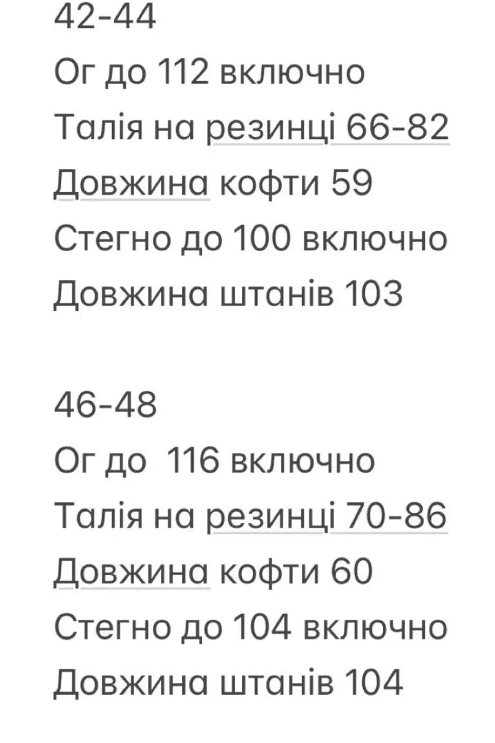 Спортивний костюм з плащівки INNA-593A780