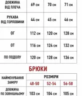 Стильный брючный костюм женский VOJ-1092A750