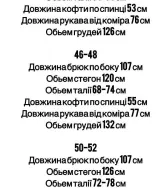 Спортивный костюм с капюшоном STB-067A799