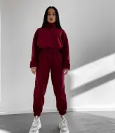 Спортивный флисовый костюм женский  DMP-R751A530
