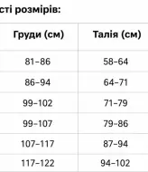 Спортивный флисовый костюм женский  DMP-R751A530