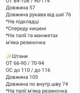 Женский спортивный костюм плащевка  RAB-744A1209