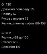 Замшевый спортивный костюм SOLO-285A1050