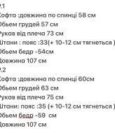 Велюровый костюм на меху DAP-626A600