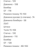 Легкий спортивный костюм женский SOLO-292A1100