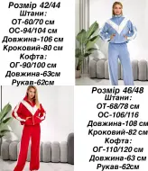 Королевский велюр спортивный костюм   AXY-082A950