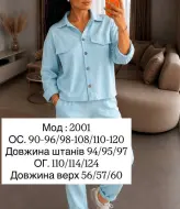 Вельветовый костюм с рубашкой  ADI-2001A539