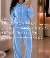 Спортивный костюм велюр  ADI-2031A499