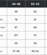 Мужской спортивный костюм из плащевки  INT-0604A680