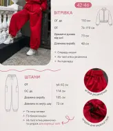 Спортивный костюм с ветровкой  RAB-747A1059