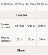 Костюм тройка женский брючный  VOJ-1095A950