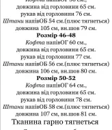 Спортивный костюм тёплый женский  IND-3014A750