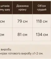 Велюровый спортивный костюм KASY-352A750