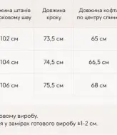 Спортивный костюм плюшевый  KASY-353A599