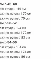 Ветровка мужская спортивная  LYR-0245A500