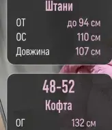 Трикотажний костюм на флісі PIK-020A600