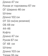 Спортивный велюровый костюм женский  ALS-590A550