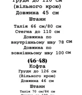 Спортивный костюм с лампасами  YLM-1015A700