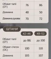 Женский прогулочный костюм PIK-022A550