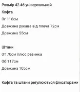 Костюм штаны и кофта SNV-158A750