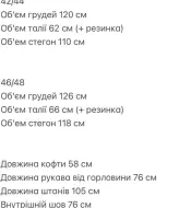 Спортивный костюм велюровый женский  ANM-480A850