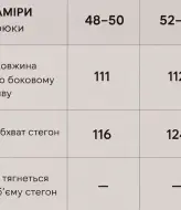 Флисовые мужские штаны  KC-3380A450