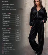 Женский велюровый спортивный костюм  KL-860A700