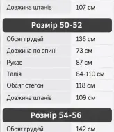 Флисовый спортивный костюм мужской LYR-0222A630