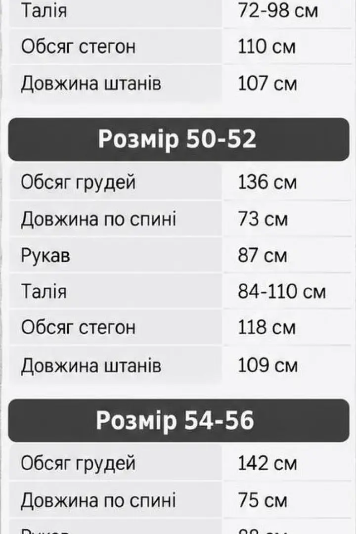 Флисовый спортивный костюм мужской LYR-0222A630