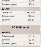 Костюм двійка з плащівки DAD-259A650