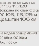 Спортивный костюм велюр MYD-628A550
