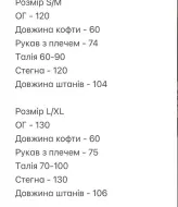 Спортивный костюм на флисе женский  SOLO-251A1450